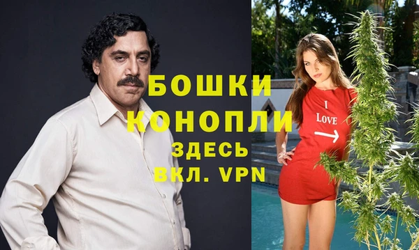 МДПВ Липки
