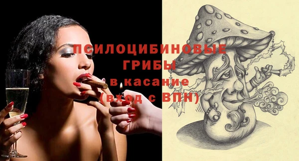 МДПВ Липки