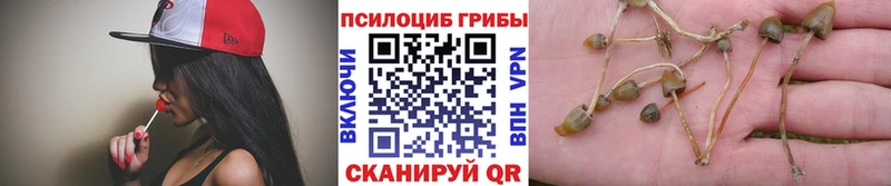 Галлюциногенные грибы Magic Shrooms  Устюжна 